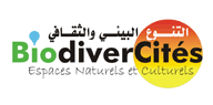 فضاء التنوع الثقافي والبيئي